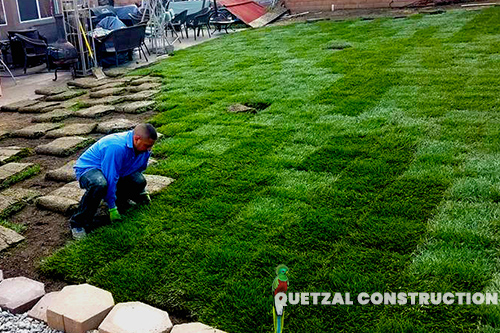 Grass